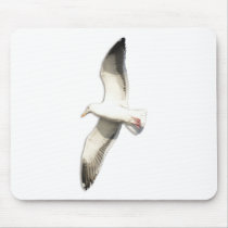 Helaine's Soaring Seagull