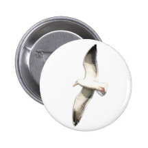 Helaine's Soaring Seagull Pinback Button