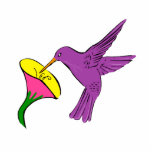 Helen Hummingbird photo sculptures