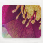 Hellebore Flower Close Up Mousepad