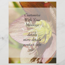 Hellebore Flower In Profile Flyers