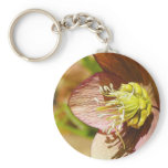 Hellebore Flower In Profile keychains