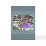 Helleborus, blank card