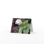 Helleborus Monogram Note Cards