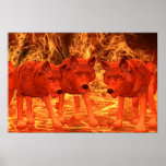 HELLHOUNDS posters