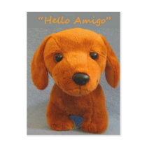 Hello Amigo Postcard