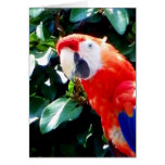 Hello_ cards