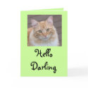 Hello Darling cards