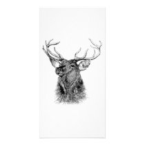 HELLO DEER
