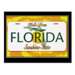 Hello From Florida Vintage Travel Postcard
