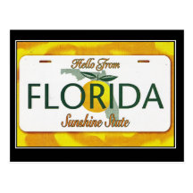Hello From Florida Vintage Travel Postcard