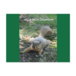 HELLO FROM OKLAHOMA postcards