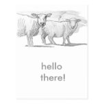 Hello hello postcards