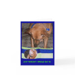 Hello in There, Greeting Cards