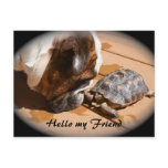 Hello my Friend Post card
