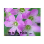 Hello my friend........ postcards