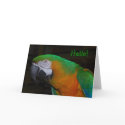 Hello Parrot Card