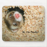 Hello Pauley Mouse Pad