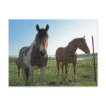 Hello Post Card