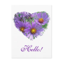 Hello Purple Fall Asters Wildflower Post Card
