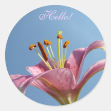 HELLO! Stickers Pink Calla Lily Flower Stickers