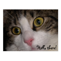 Hello there! greetingcard post cards