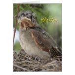 Hello World Card