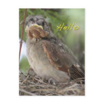 Hello World Postcard