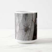 Hells Canyon Idaho Fauna Insects / Arachnids Coffee Mug