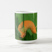 Hells Canyon Idaho Fauna Insects / Arachnids Mugs