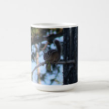 Hells Canyon Idaho Fauna Mammals Mug