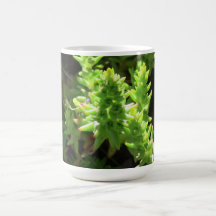 Hells Canyon Idaho Flora Plants Botany Coffee Mug