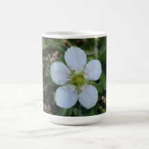 Hells Canyon Idaho Flora Wildflowers Flowers Coffee Mug