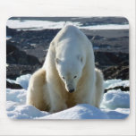 Help, my World is melting! Mouse Pads