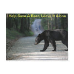 Help Save a Bear, Postcard