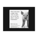 Help the Piglets! postcards