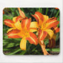 Hemerocallis fulva mousepads