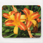 Hemerocallis fulva mousepads