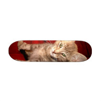 Hemingway Kitten Skateboard