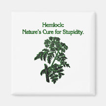 Hemlock: Cure For Stupidity Refrigerator Magnets