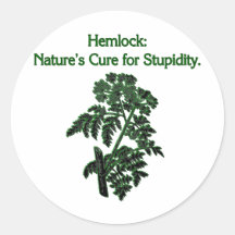 Hemlock: Cure For Stupidity Stickers