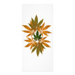 Hemp 03a rack cards