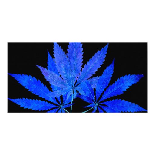 Hemp 03i1bc personalized photo card