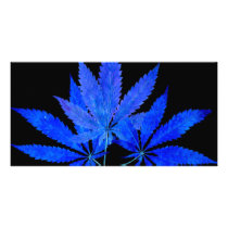 Hemp 03i1bc