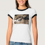 Hen And Baby Chicks Shirt