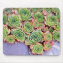 Hen and Chicks mousepads