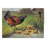 Hen and Ducklings Cards