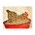 hen chicken painting art gifts postcards