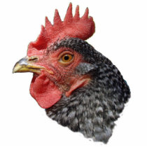 Hen portrait - Ornament Cut Out