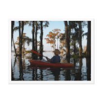 Henderson Swamp PostCard